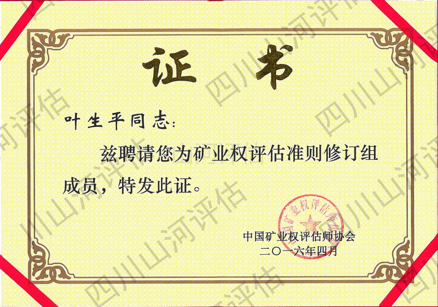 礦業(yè)權(quán)評(píng)估準(zhǔn)則修訂組成員